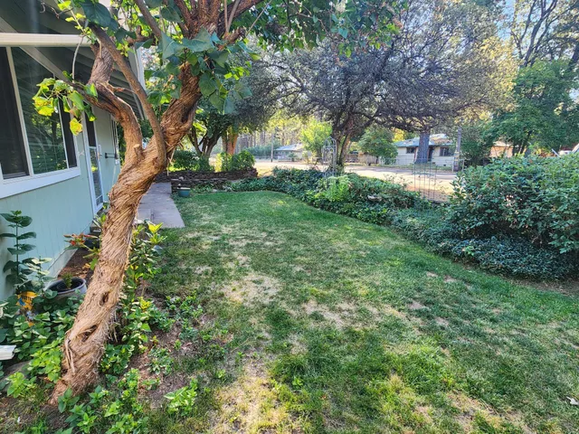 a view of a yard in front of house