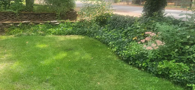 a view of yard with green space