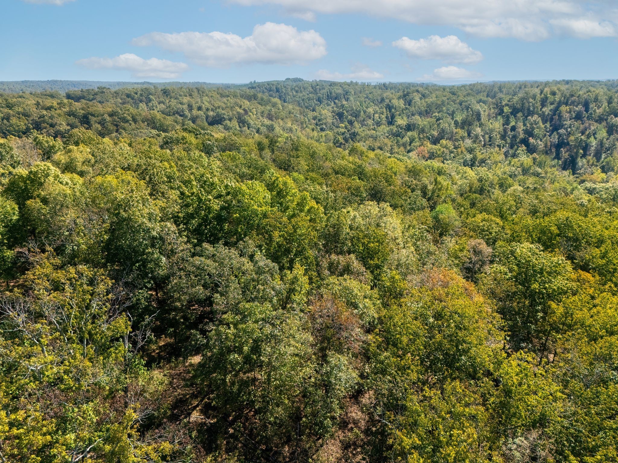 33 Vista Ridge Drive Stewart, TN 37175 - Photo 15 of 22 a view of a city with lush green forest