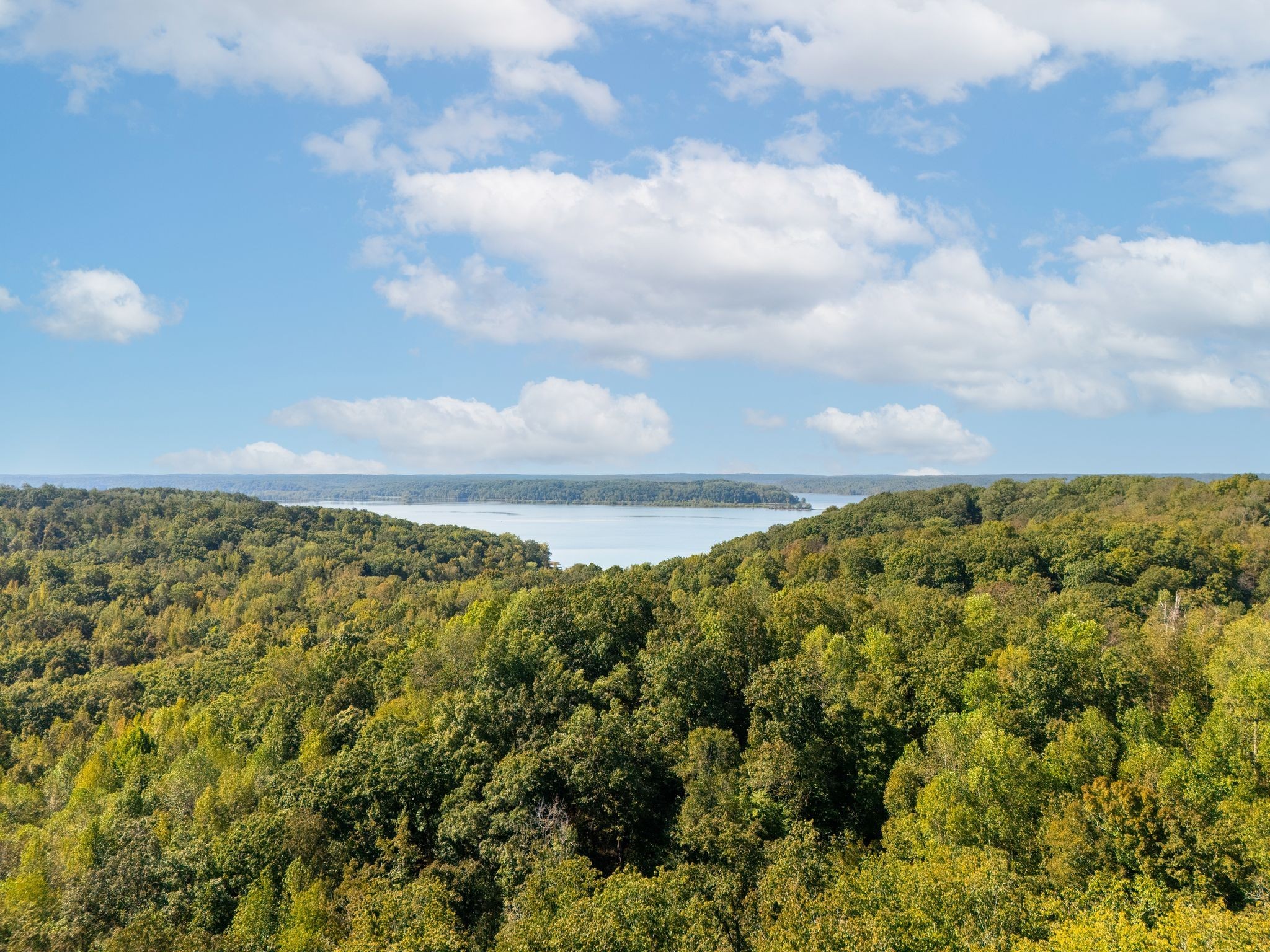 33 Vista Ridge Drive Stewart, TN 37175 - Photo 18 of 22 a view of a big yard and mountain in the back