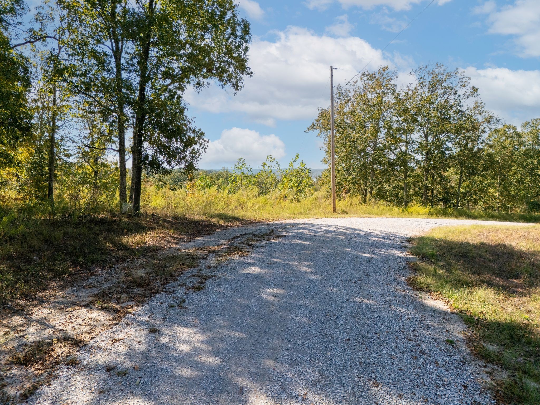 33 Vista Ridge Drive Stewart, TN 37175 - Photo 19 of 22 a view of a yard with large trees