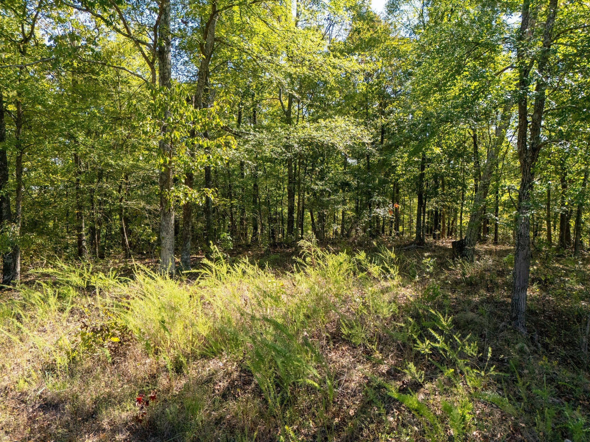 33 Vista Ridge Drive Stewart, TN 37175 - Photo 21 of 22 a view of a yard