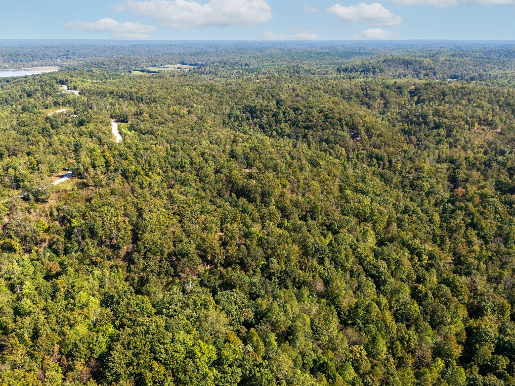 33 Vista Ridge Drive Stewart, TN 37175 - Photo 8 of 22 a view of a field with an trees