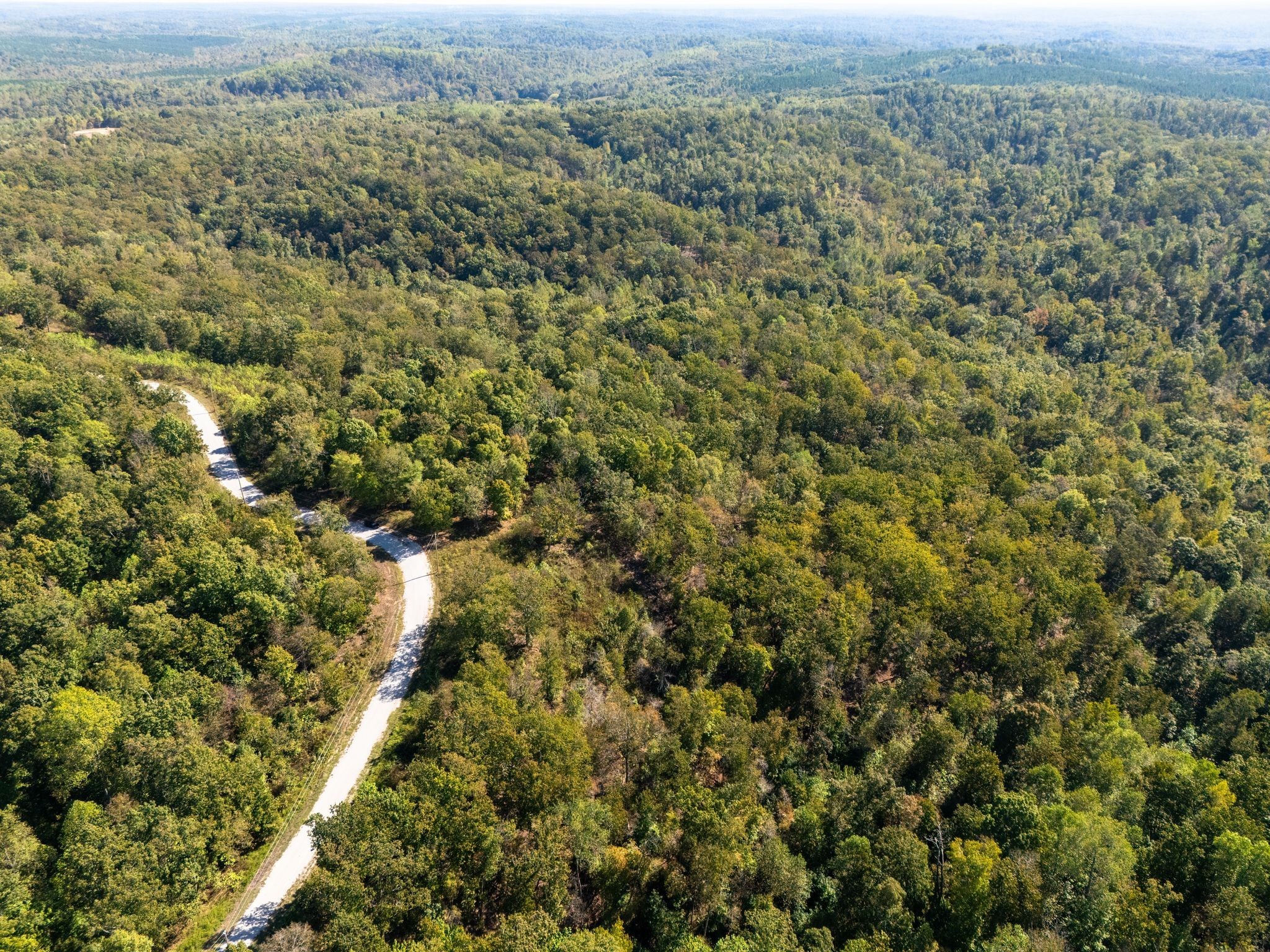 33 Vista Ridge Drive Stewart, TN 37175 - Photo 9 of 22 an aerial view of forest