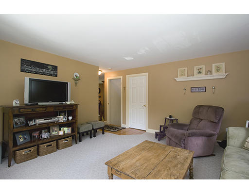 26 Tomahawk Road Arlington, MA 02474 - Photo 14 of 30 a living room with furniture and a flat screen tv