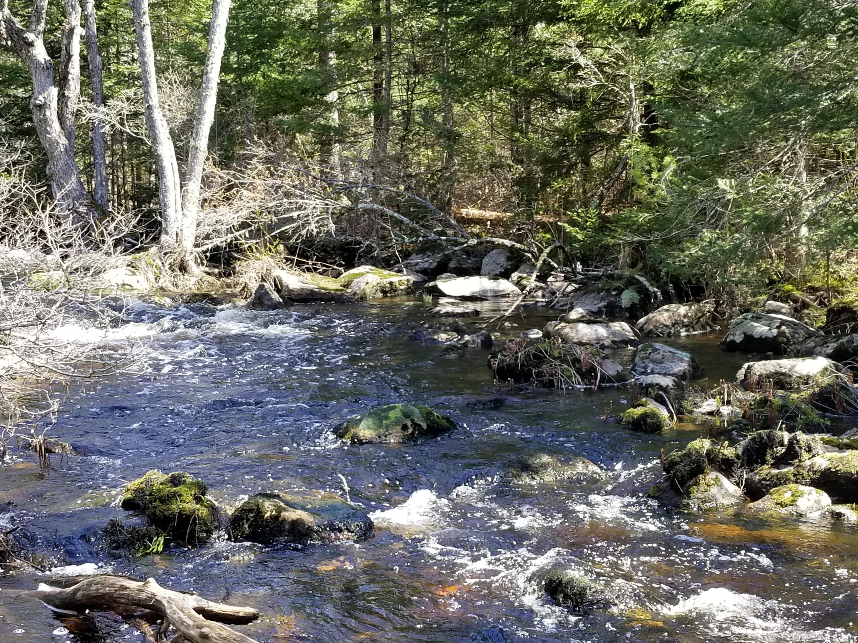 160 Southern Bay Road Penobscot, ME 04476 - Photo 8 of 62 8 Winslow Stream