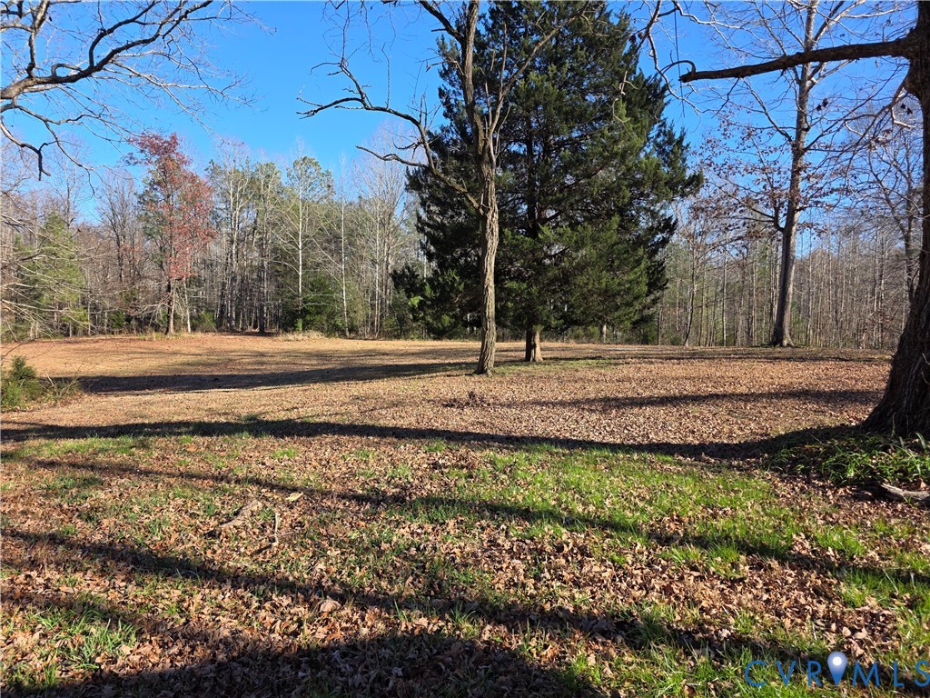 11782 Mt Landing Road Tappahannock, VA 22560 - Photo 15 of 15 a view of a backyard with green space