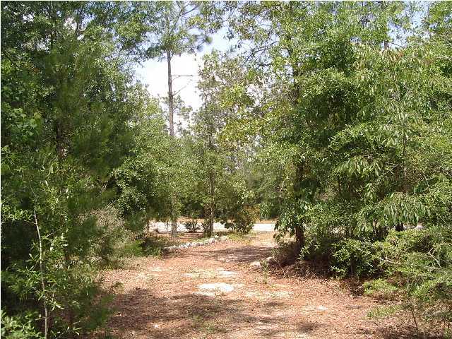 Lot 3-opsd Live Oak Church Road Crestview, FL 32539 - Photo 2 of 4 Gallery Image 2