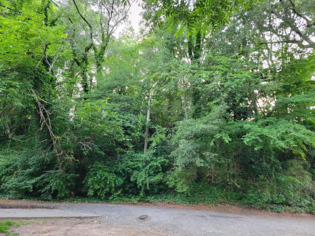 1019 Hubbard Street Southwest Atlanta, GA 30310 - Photo 3 of 6