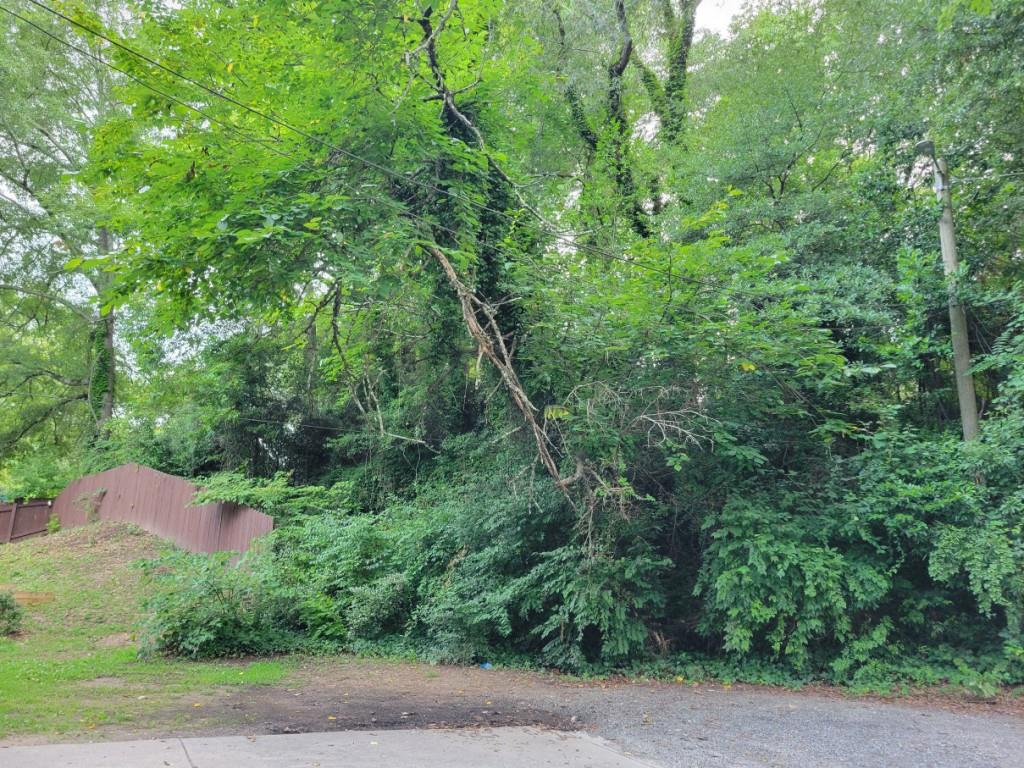 1019 Hubbard Street Southwest Atlanta, GA 30310 - Photo 4 of 6