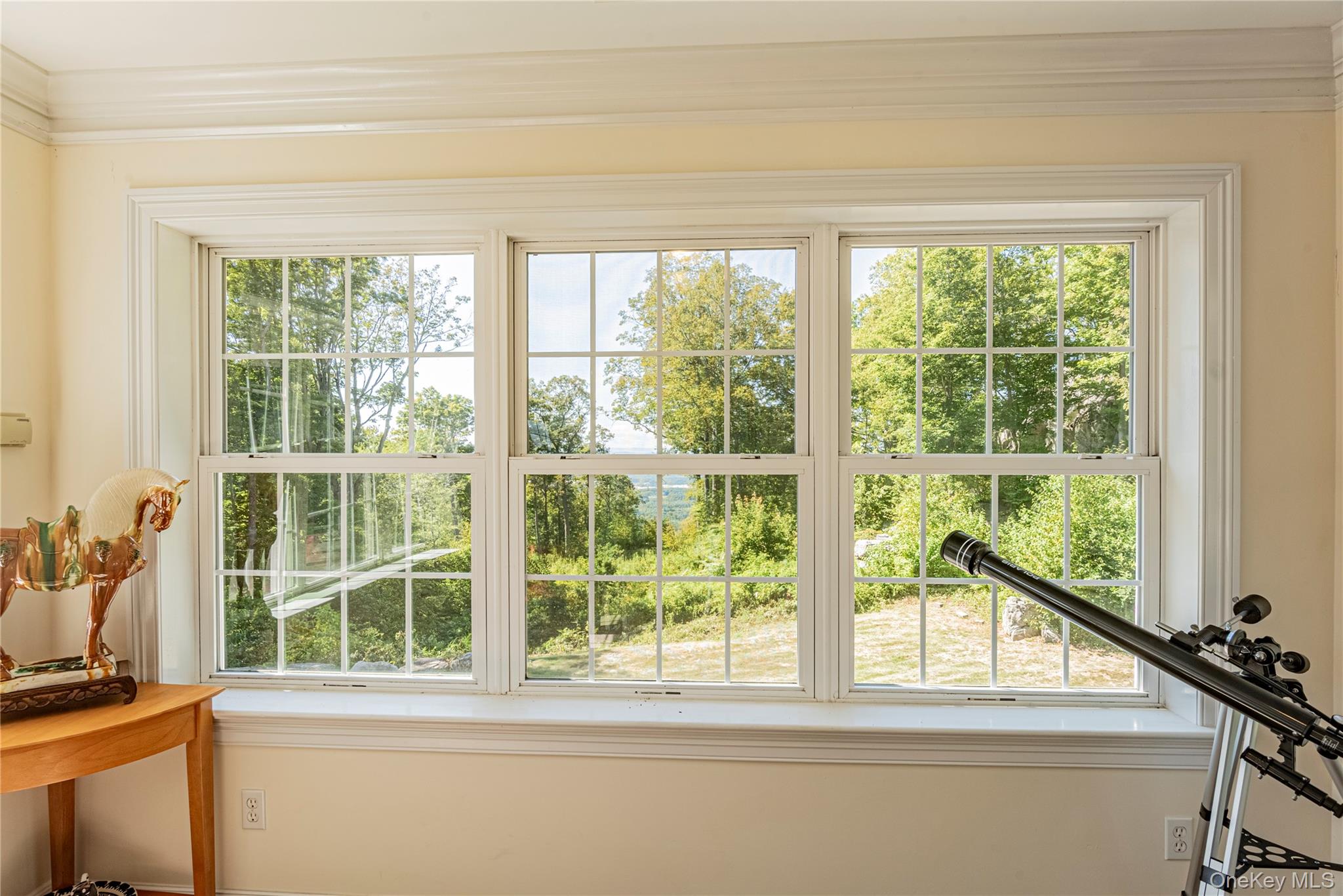 291 Woodmont Road Hopewell Junction, NY 12533 - Photo 35 of 49 a view of a room that has a window and outside view