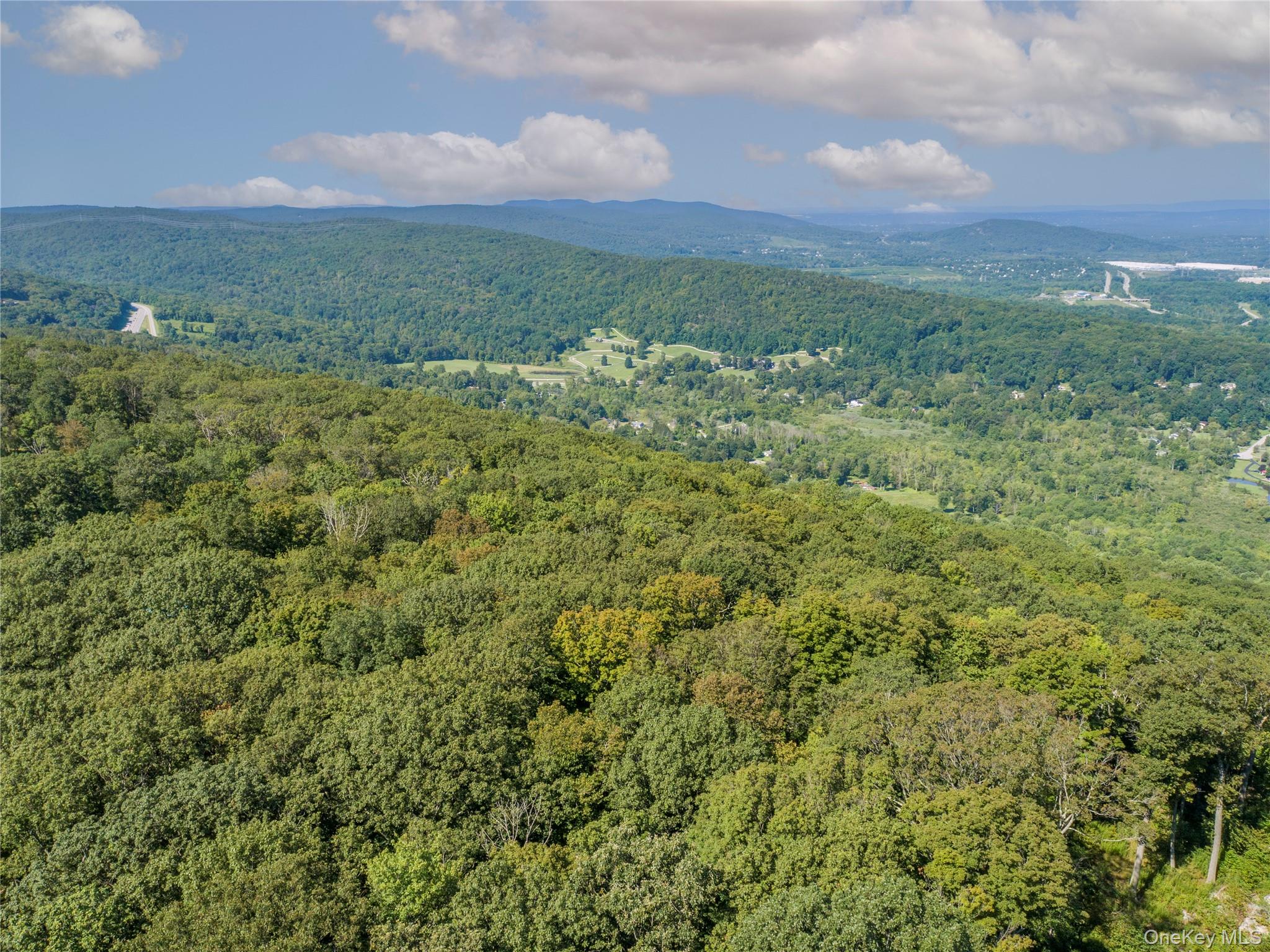 291 Woodmont Road Hopewell Junction, NY 12533 - Photo 48 of 49 a view of a bunch of trees and bushes