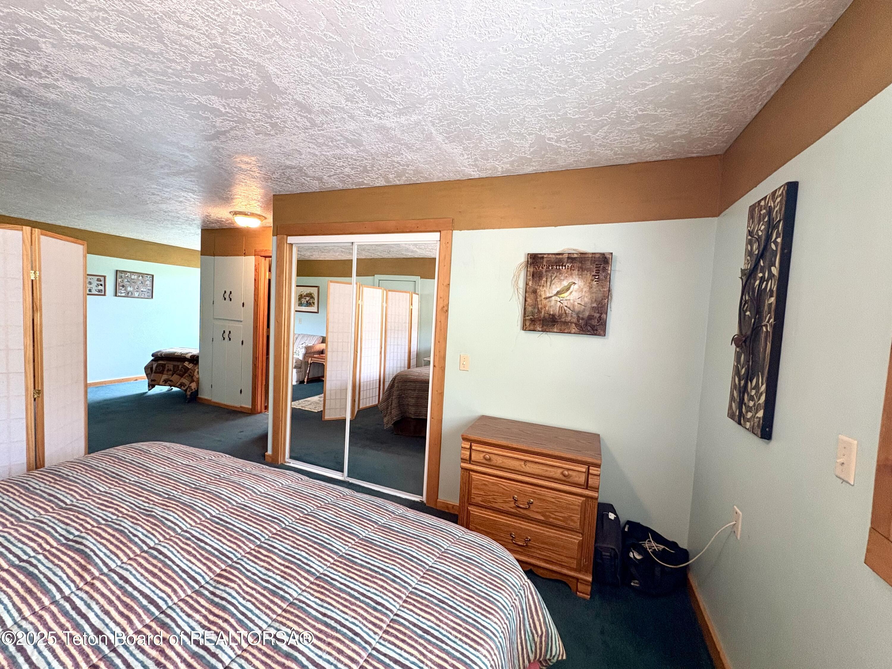 189 Choke Cherry Lane Irwin, ID 83428 - Photo 42 of 64 Primary Bedroom