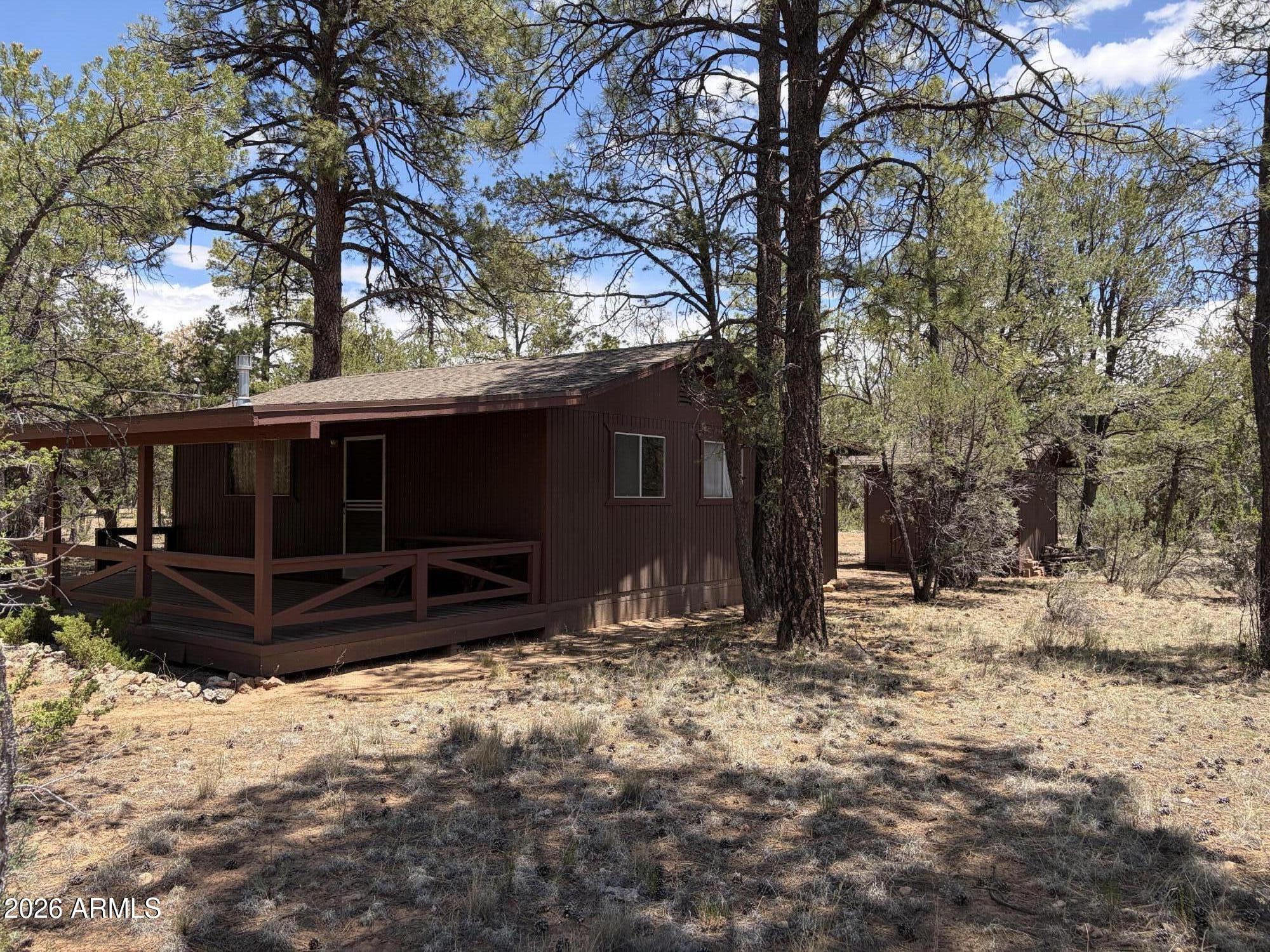 2943 Buckskin Road Overgaard, AZ 85933 - Photo 10 of 10