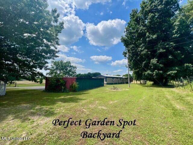 251 Green Road North Sardis, MS 38666 - Photo 42 of 48 251 GREEN RD - WHOLE BACKYARD