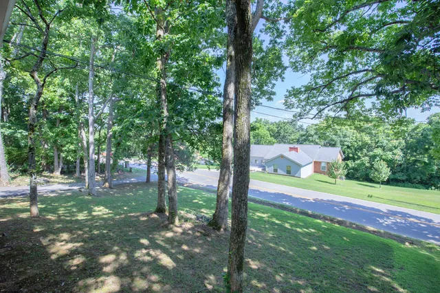 a view of a yard with a tree