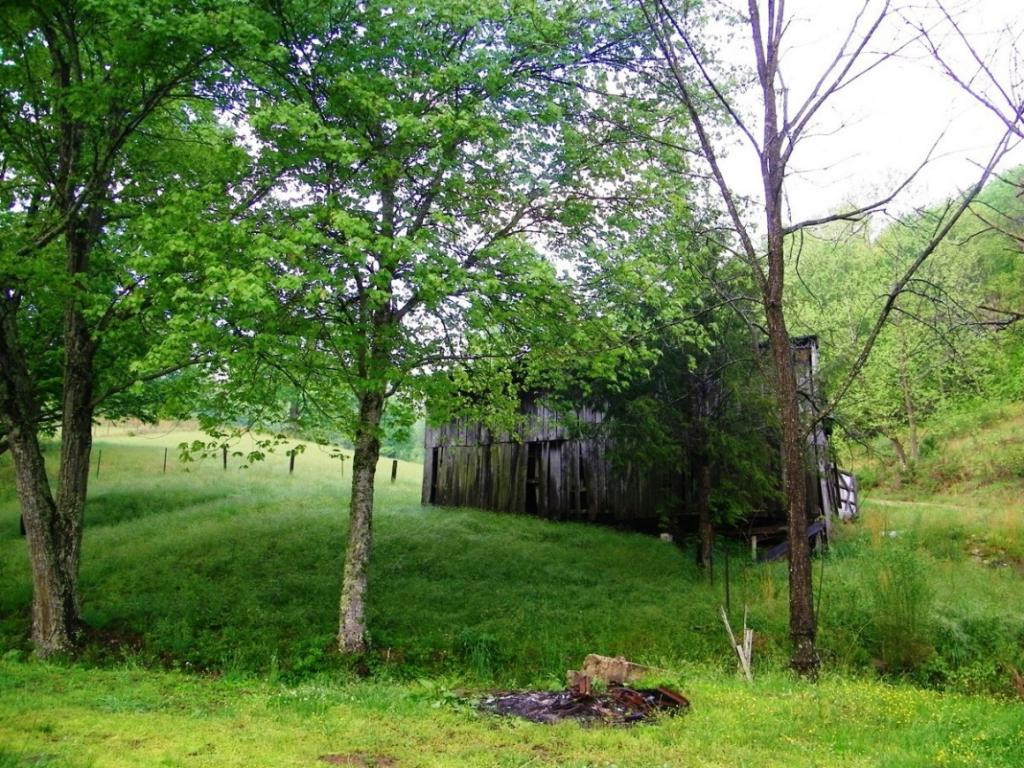 470 Head Hollow Road Duffield, VA 24244 - Photo 13 of 34 Photo 13
