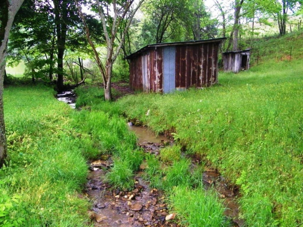 470 Head Hollow Road Duffield, VA 24244 - Photo 15 of 34 Photo 15