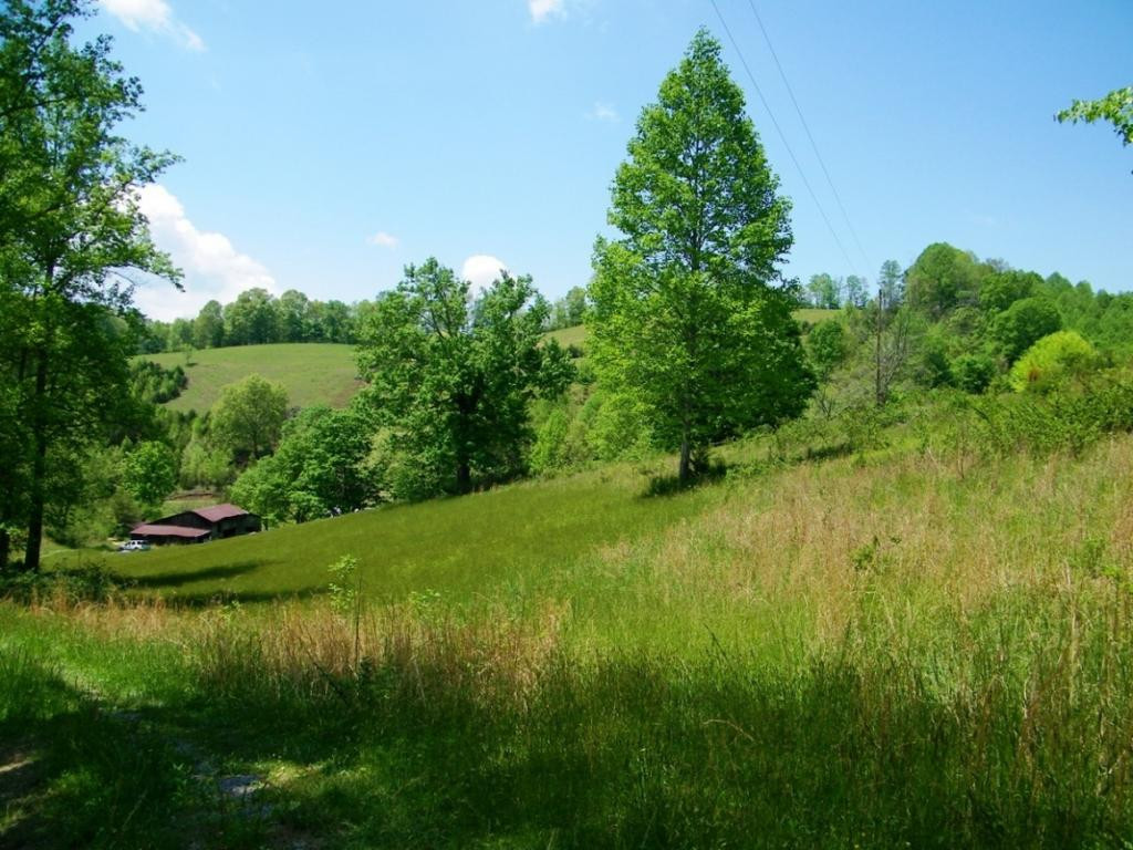 470 Head Hollow Road Duffield, VA 24244 - Photo 23 of 34 Photo 23