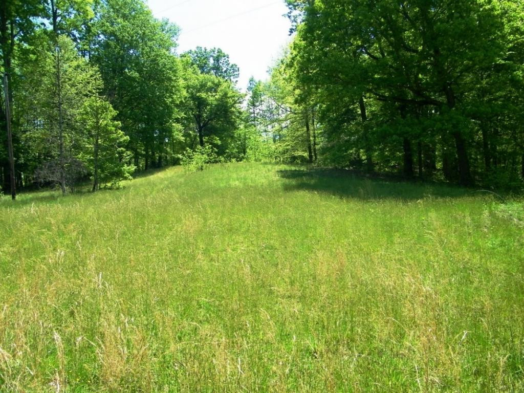 470 Head Hollow Road Duffield, VA 24244 - Photo 24 of 34 Photo 24