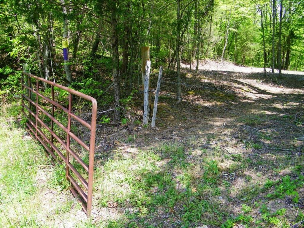 470 Head Hollow Road Duffield, VA 24244 - Photo 25 of 34 Photo 25