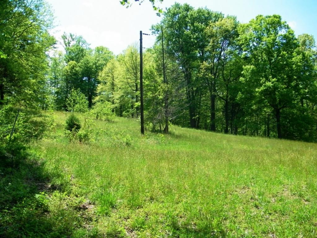 470 Head Hollow Road Duffield, VA 24244 - Photo 27 of 34 Photo 27