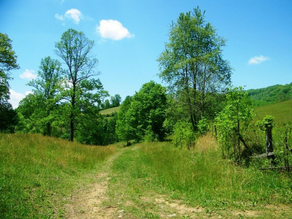 470 Head Hollow Road Duffield, VA 24244 - Photo 28 of 34 Photo 28