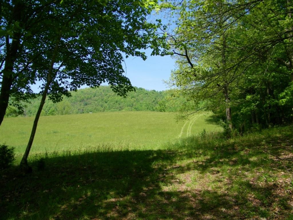 470 Head Hollow Road Duffield, VA 24244 - Photo 29 of 34 Photo 29