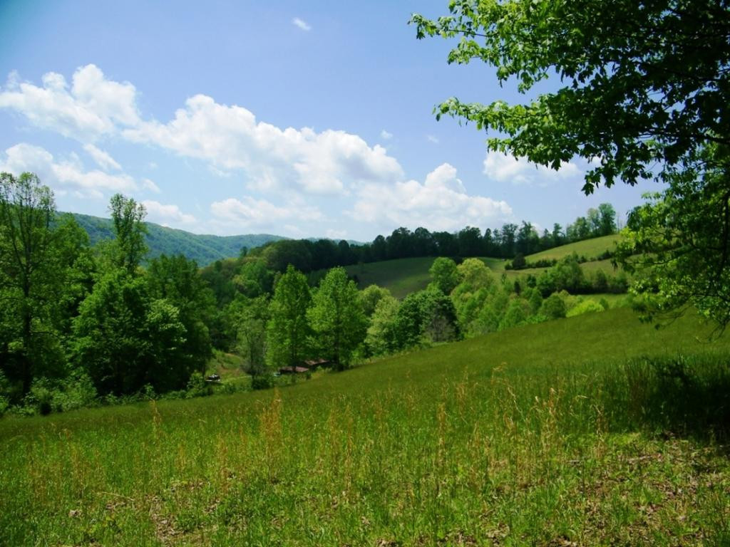 470 Head Hollow Road Duffield, VA 24244 - Photo 30 of 34 Photo 30