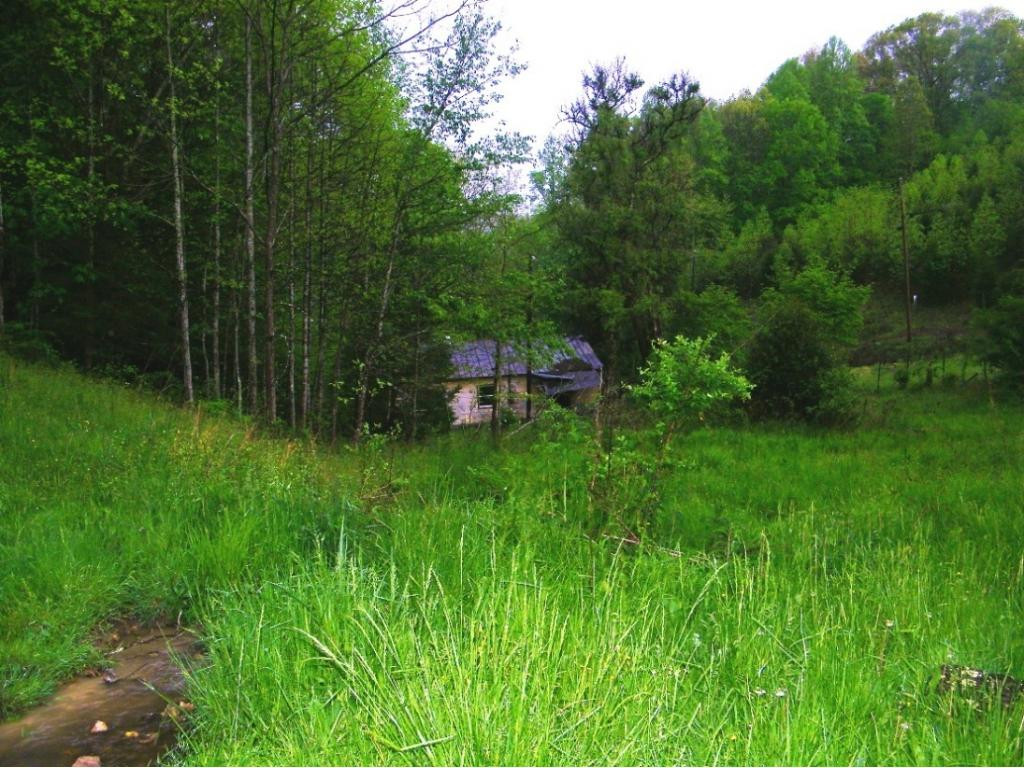 470 Head Hollow Road Duffield, VA 24244 - Photo 3 of 34 Photo 3