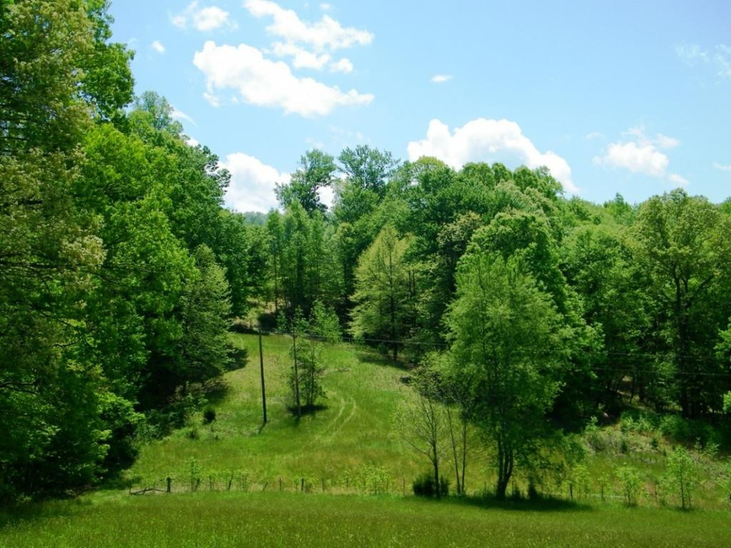 470 Head Hollow Road Duffield, VA 24244 - Photo 31 of 34 Photo 31