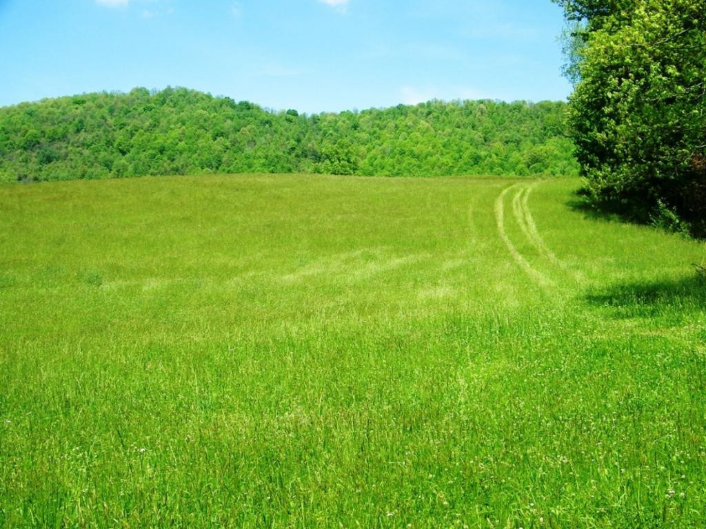 470 Head Hollow Road Duffield, VA 24244 - Photo 32 of 34 Photo 32
