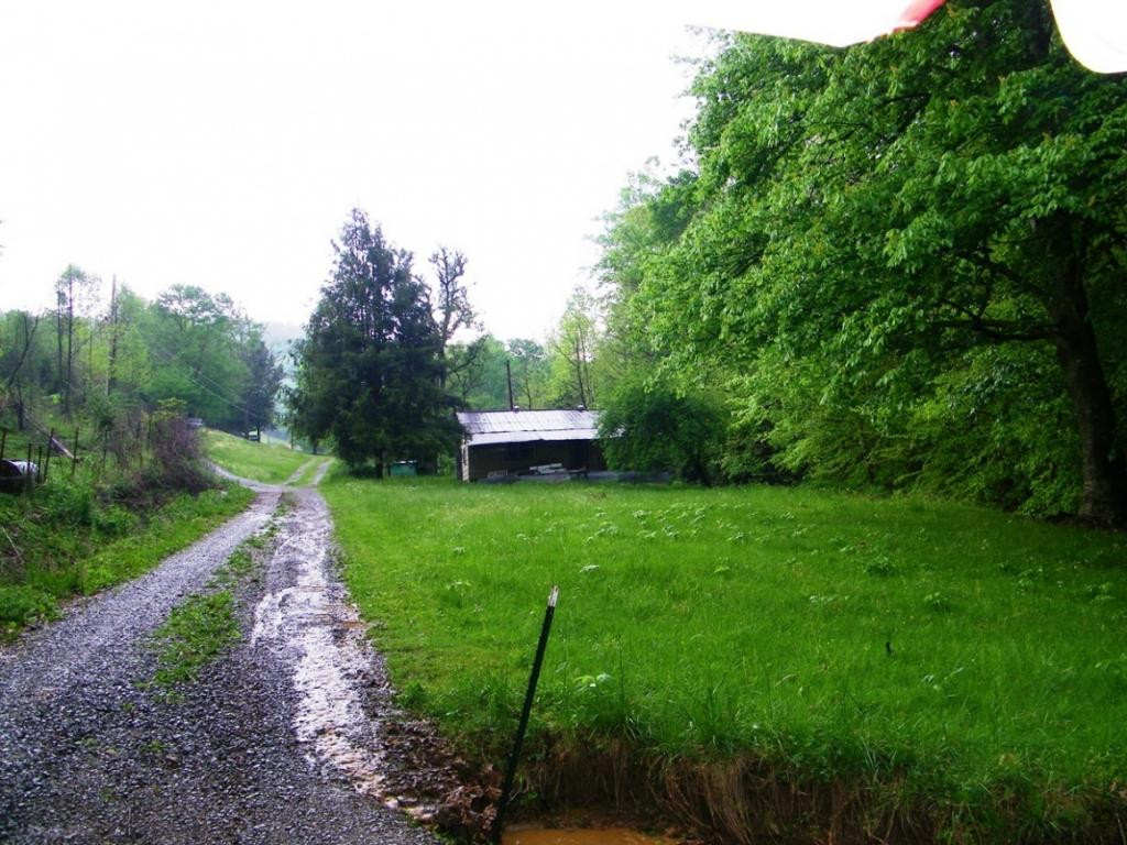470 Head Hollow Road Duffield, VA 24244 - Photo 6 of 34 Photo 6