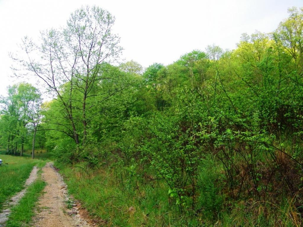 470 Head Hollow Road Duffield, VA 24244 - Photo 10 of 34 Photo 10
