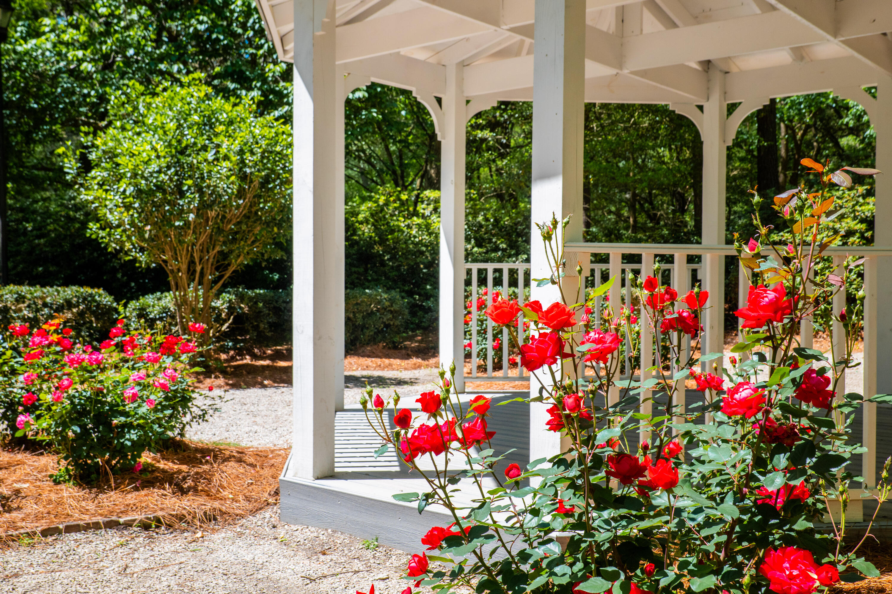 4147 Rising Tide Drive Summerville, SC 29485 - Photo 45 of 54 Azalea Park
