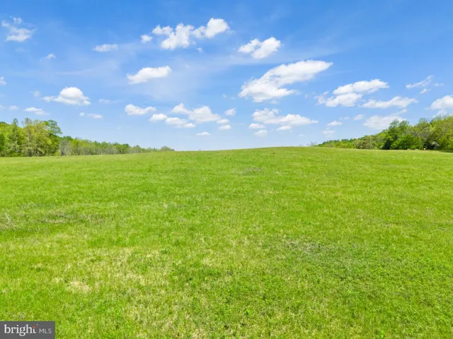 a view of a big yard with lots of green space