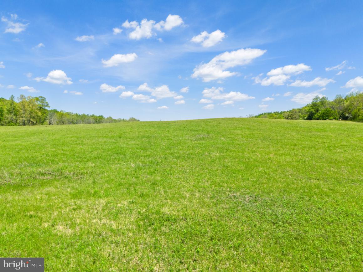 Thumb Run Road Marshall, VA 20115 - Photo 4 of 11 a view of a big yard with lots of green space