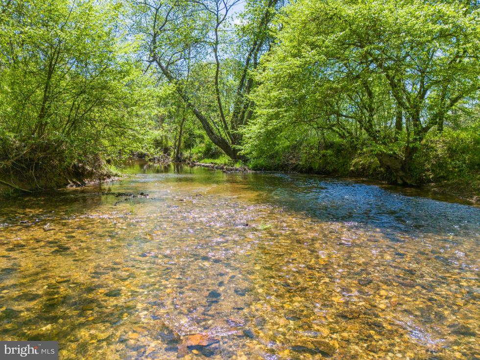 Thumb Run Road Marshall, VA 20115 - Photo 5 of 11 a view of a yard with an outdoor space