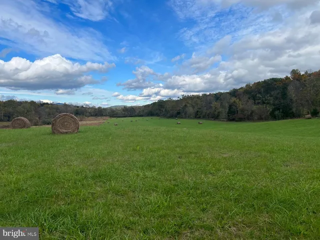 a view of an outdoor space and a yard