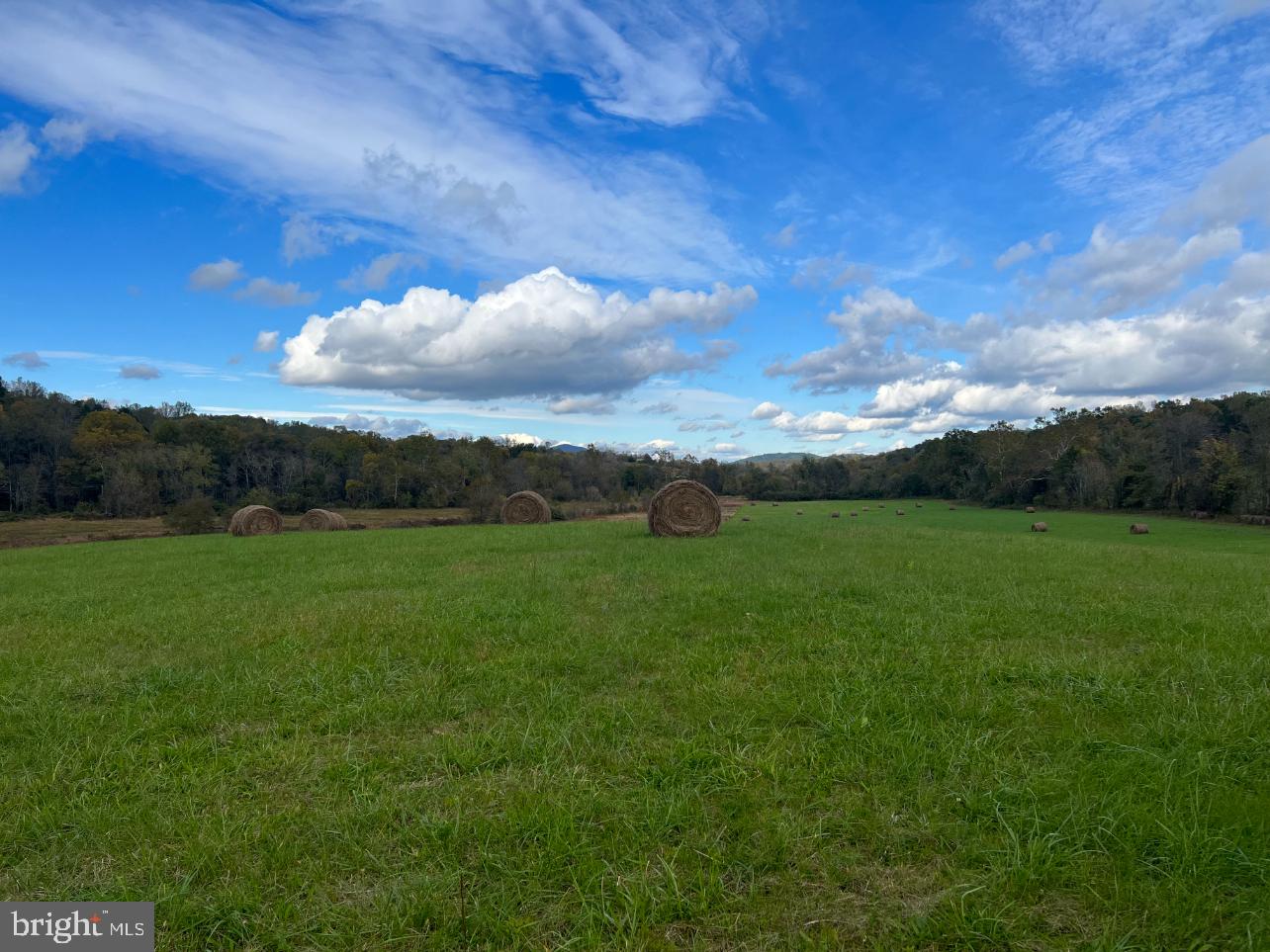 Thumb Run Road Marshall, VA 20115 - Photo 10 of 11 a view of a grassy field with trees