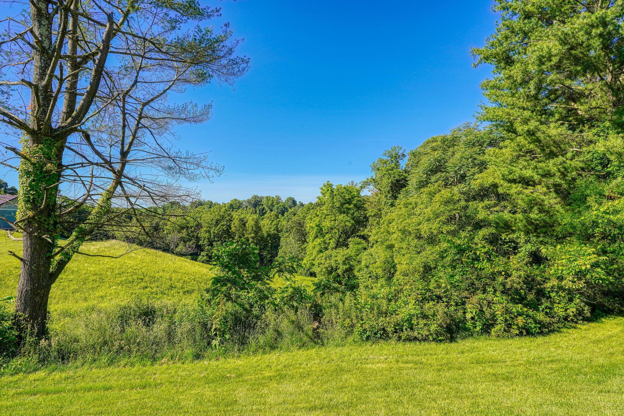 37701 Maysville-Greendale Road Logan, OH 43138 - Photo 52 of 60 37701 Maysville-Greendale Rd (52)