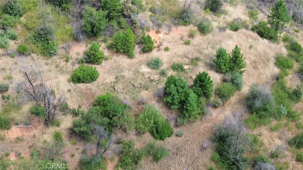 0 Feather Ridge Way Berry Creek, CA 95916 - Photo 2 of 4 an aerial view of residential house with outdoor space and trees all around