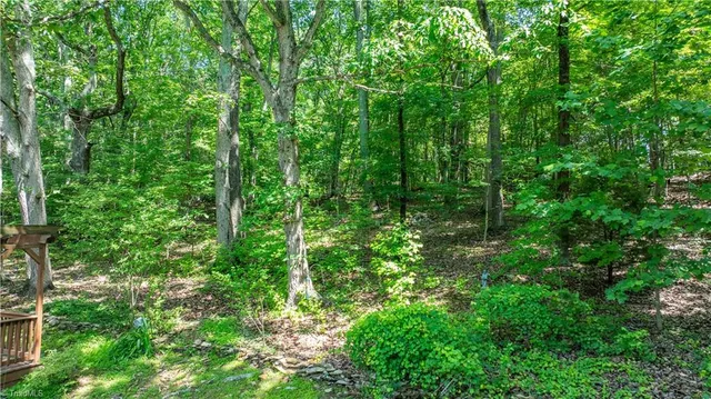 $399,000 | 2165 Forest Haven Drive, Climax, NC 27233