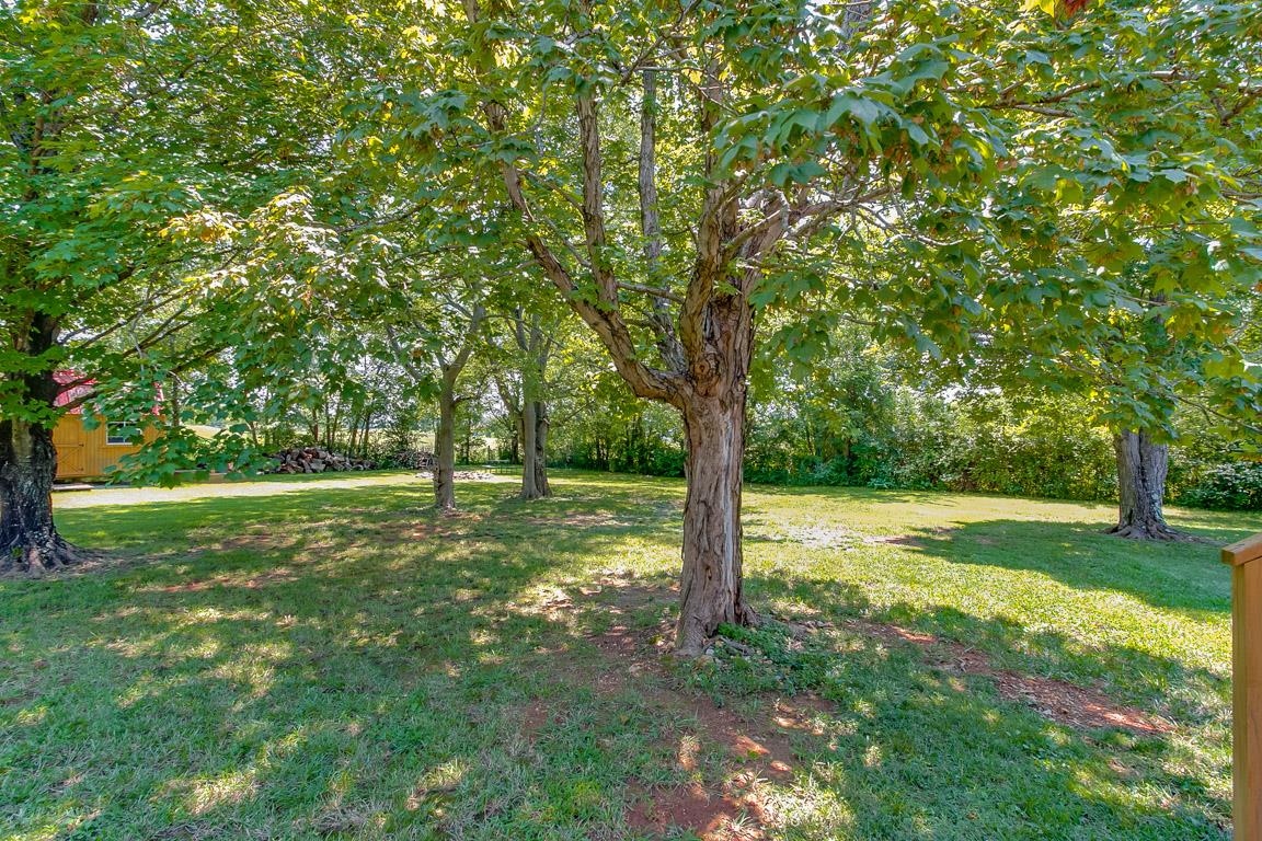 605 Rome Pike Lebanon, TN 37087 - Photo 27 of 27 Mature trees on level lot