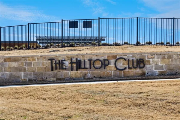 a view of large trees and outdoor space