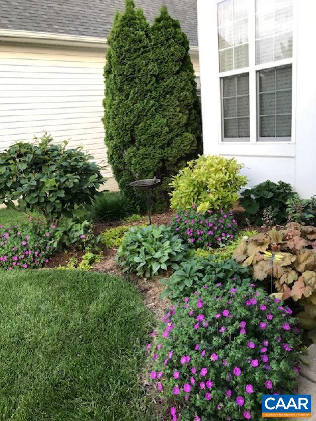 598 Mistland Trail Ruckersville, VA 22968 - Photo 4 of 69 The garden, shrubs and lawn have been professionally maintained for 15+ years.