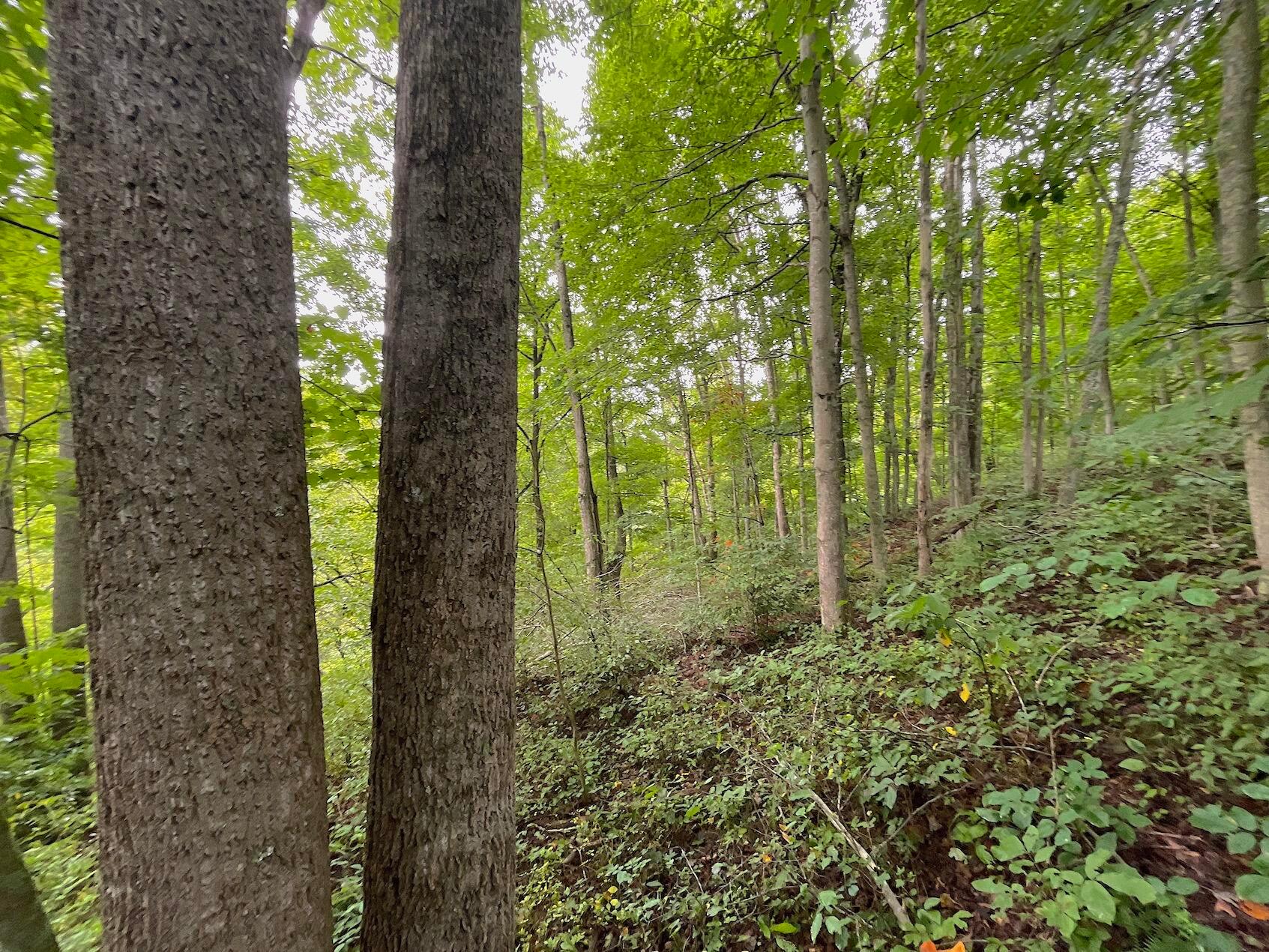 0 Elliott Road Patriot, OH 45658 - Photo 13 of 32
