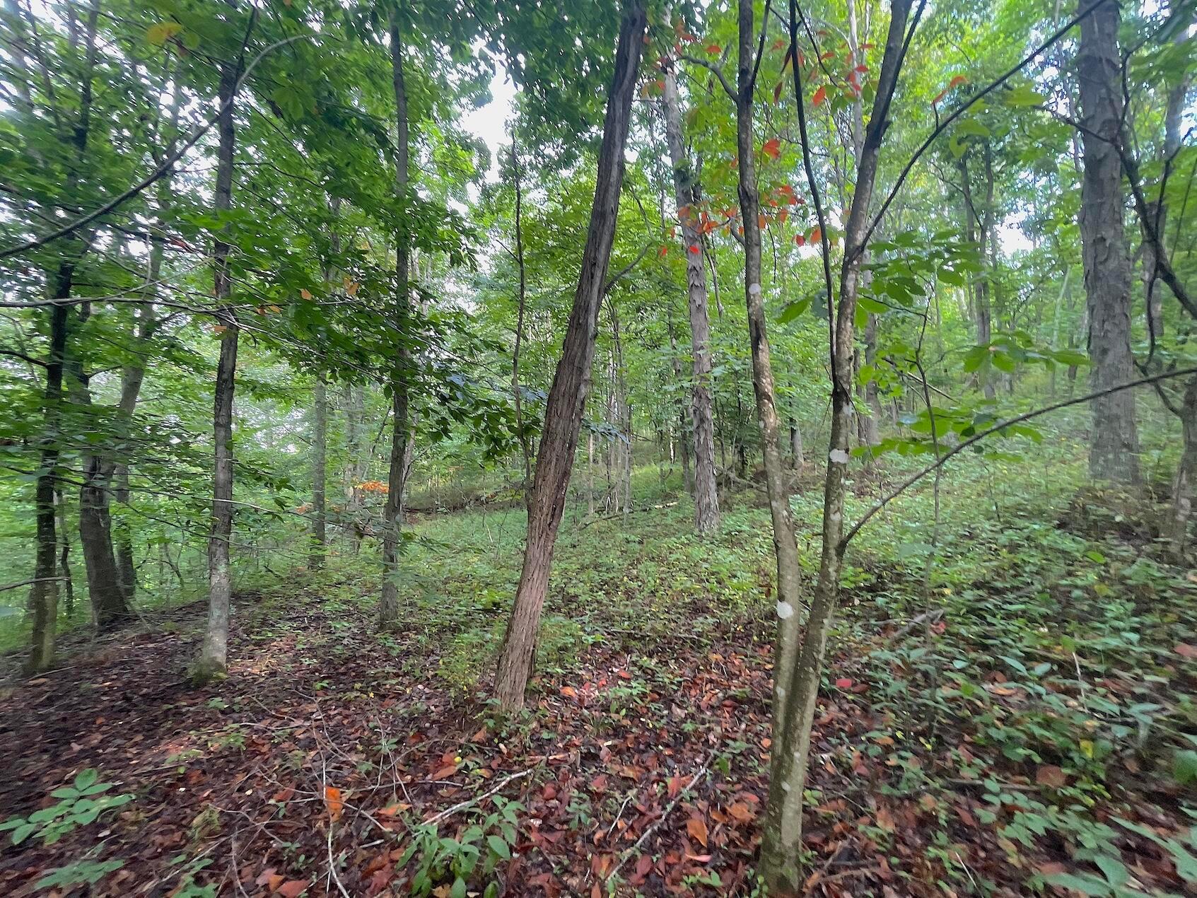 0 Elliott Road Patriot, OH 45658 - Photo 16 of 32