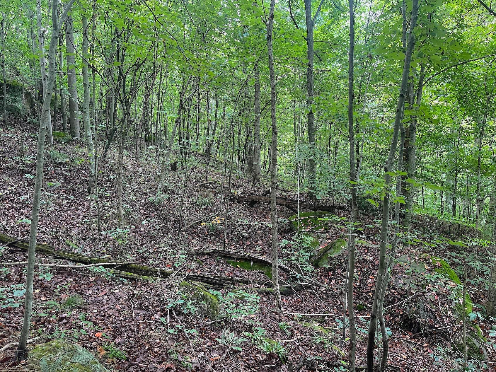 0 Elliott Road Patriot, OH 45658 - Photo 20 of 32