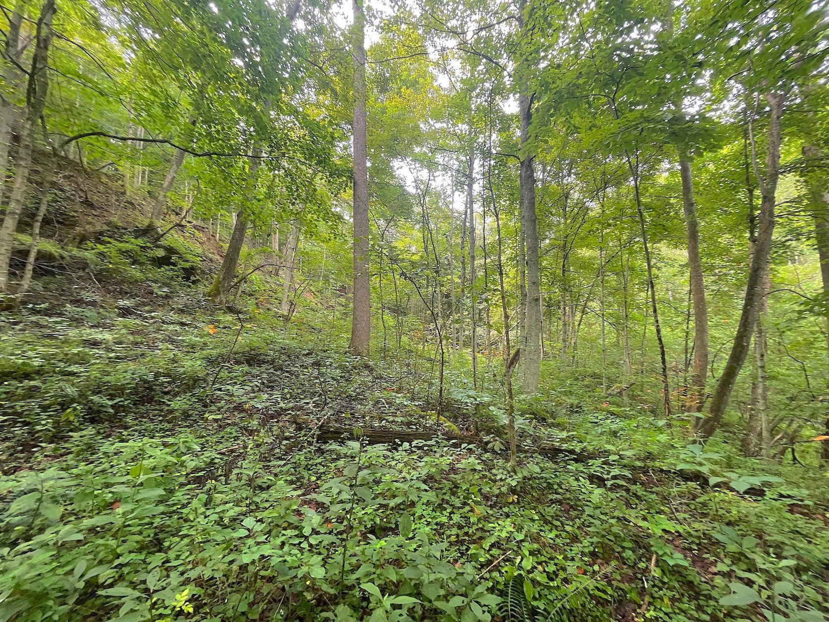 0 Elliott Road Patriot, OH 45658 - Photo 22 of 32